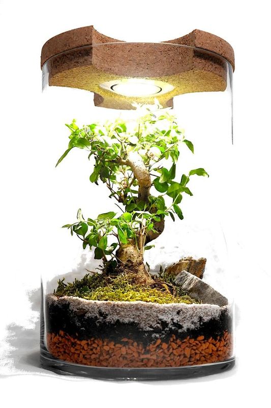 Flaschengarten Gaia - Zylinder