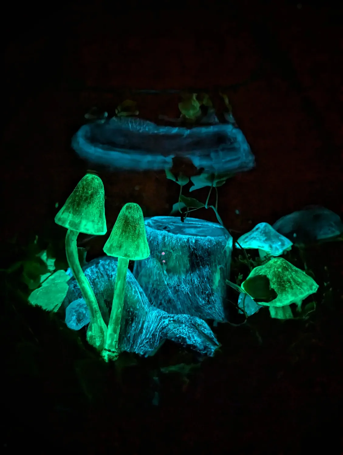 Glow-in-the-Dark Pilze / Nachtleuchtende Deko