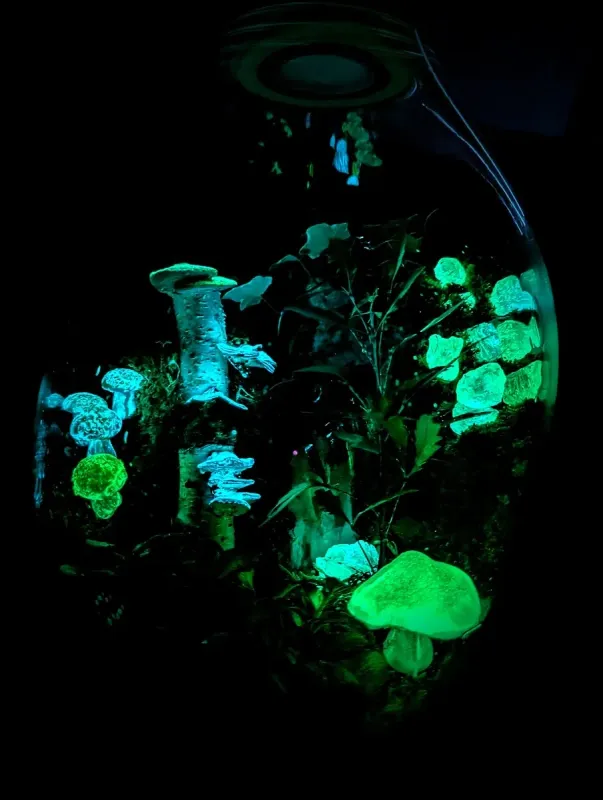 Glow-in-the-Dark Pilze / Nachtleuchtende Deko