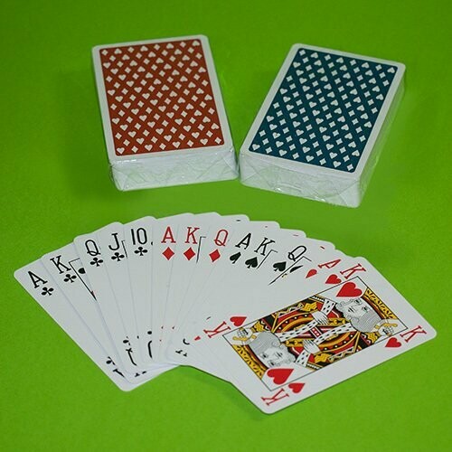 PlayBridge Pro Cards (Plastic) (1 Dozen)