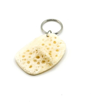 CROCODILE OSTEODERM KEY RING
