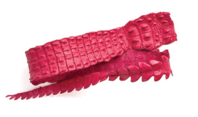 NILE CROCODILE HORN-BACK STRAPS - X LARGE