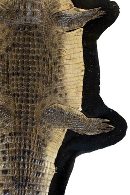 NILE CROCODILE FLAT SKIN ON VELT
