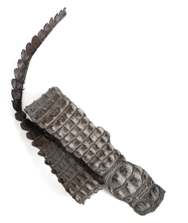 NILE CROCODILE HORN BACK STRAPS - MEDIUM