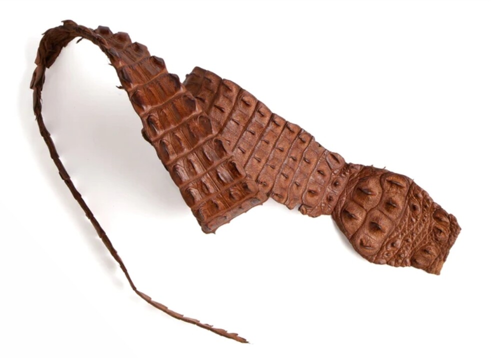 NILE CROCODILE HORN BACK STRAPS - LARGE