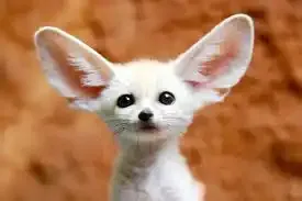 ZOOS, MUSEUMS &amp; AQUARIUMS