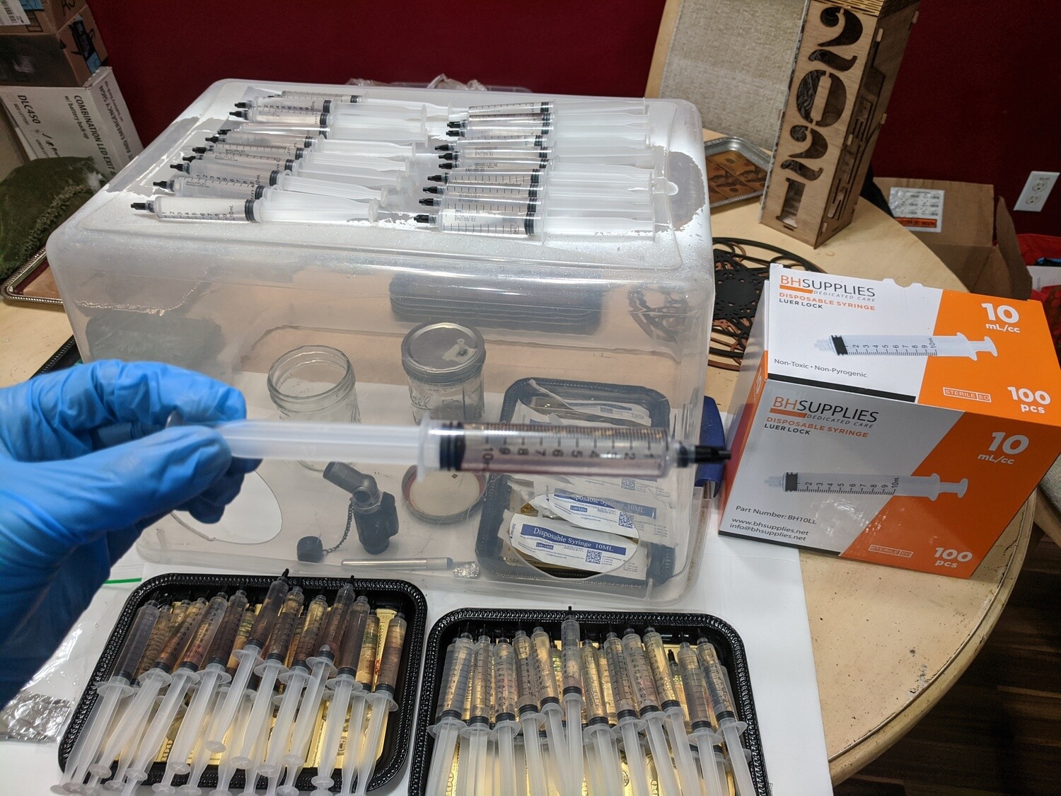 10cc   3xSpore Syringes For Sale 3 total