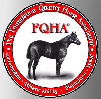 Registration With 3 Year Silver Membership (See $9.00 Option Below)