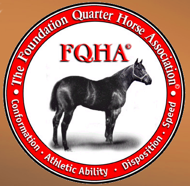 1 Year FQHA Bronze Membership