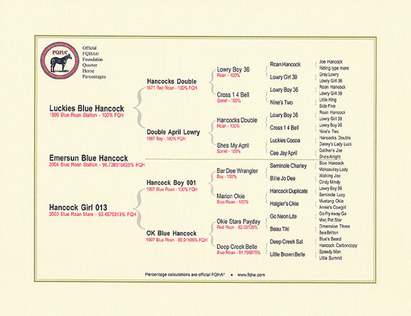 6 generation Frameable Quarter Horse Pedigrees (8.5" x 11")