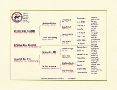6 generation Frameable Quarter Horse Pedigrees (8.5" x 11") 6 generation Frameable Quarter Horse Pedigrees (8.5" x 11")