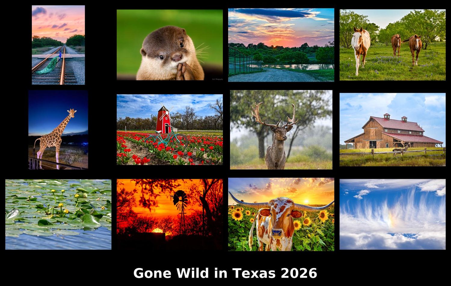 Gone Wild in Texas 2026 Calendar