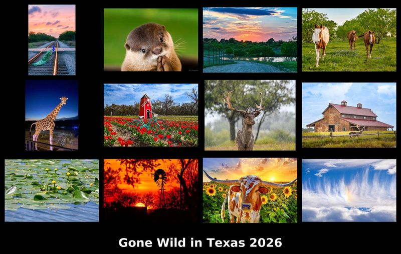Gone Wild in Texas 2026 Calendar
