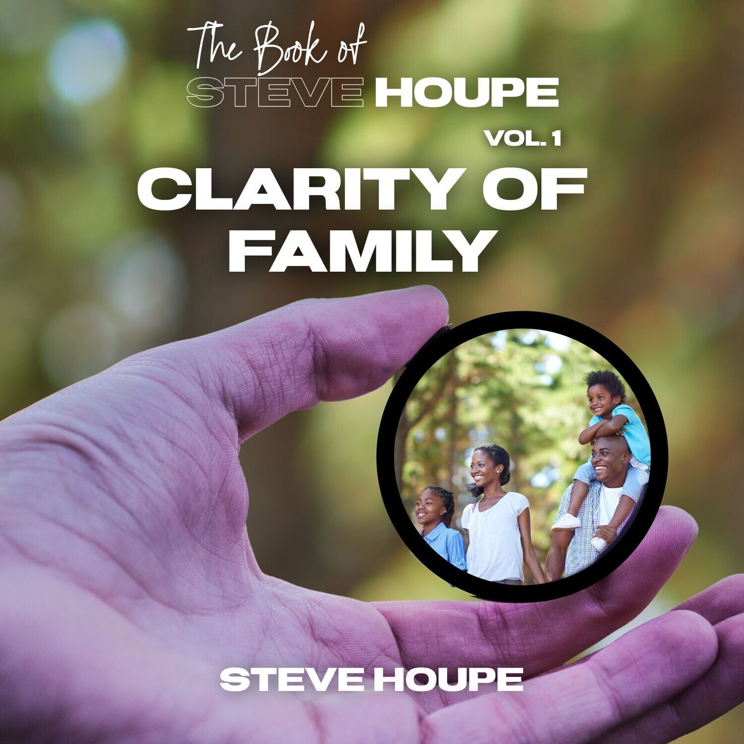 The Book of Steve Houpe Vol. 1: Clarity of Family
