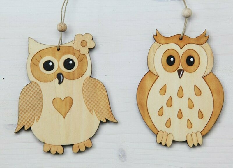 Mme Hibou ou Mr Chouette