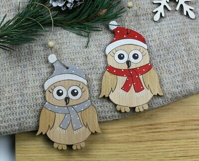 Chouette d'hiver Chouette d'hiver