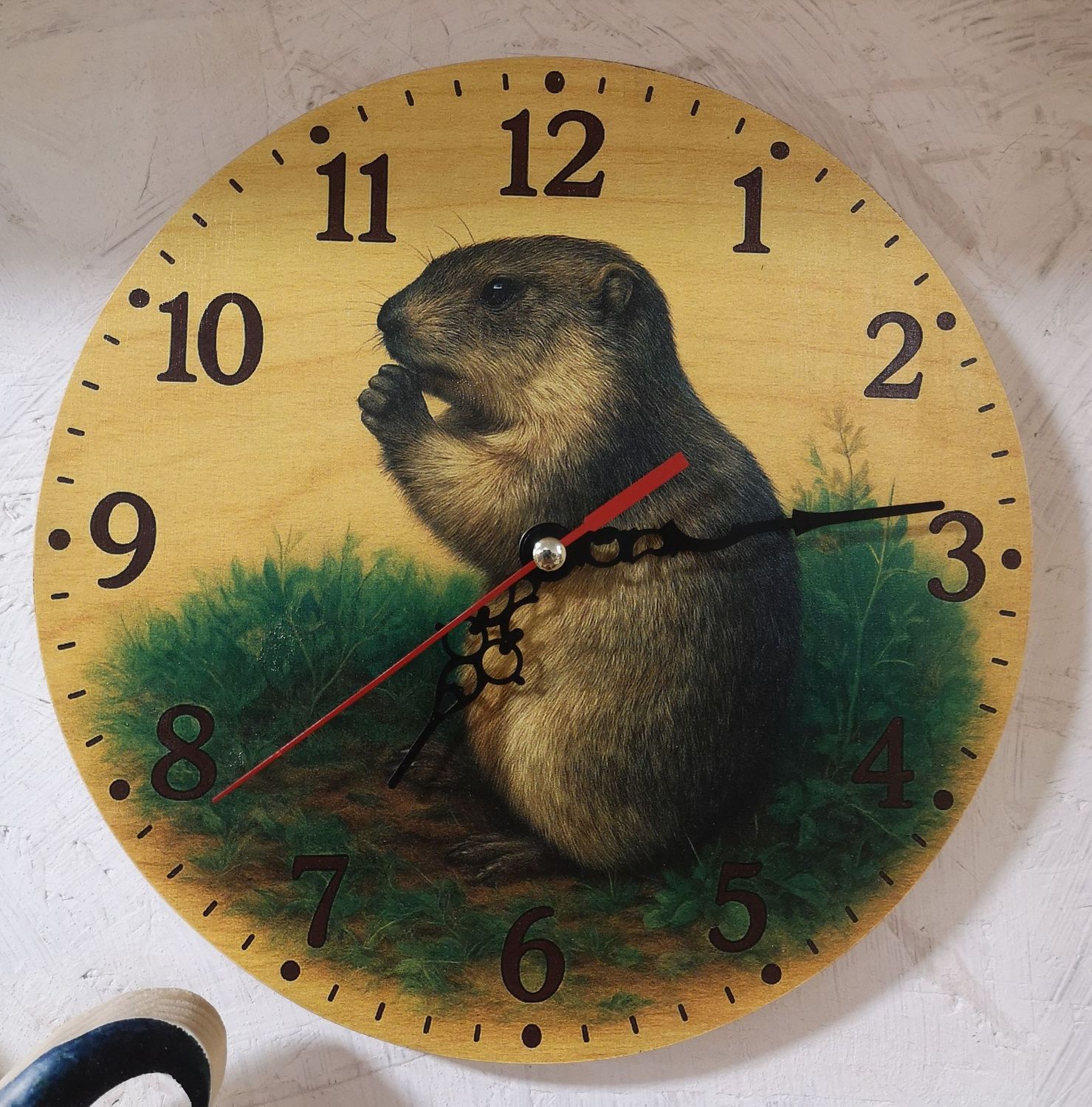 Horloge Marmotte Horloge Marmotte