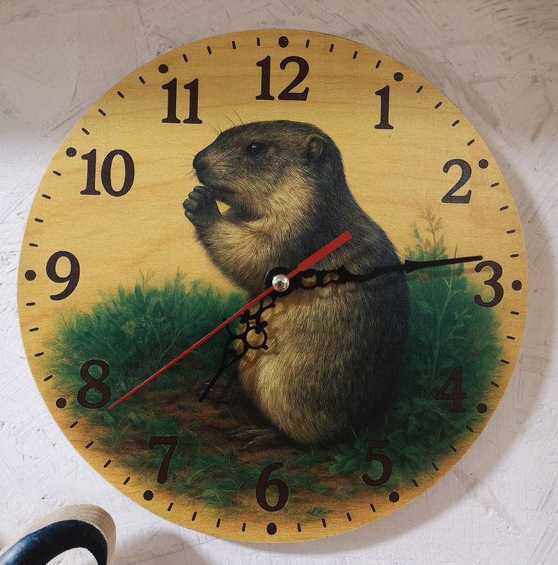 Horloge Marmotte