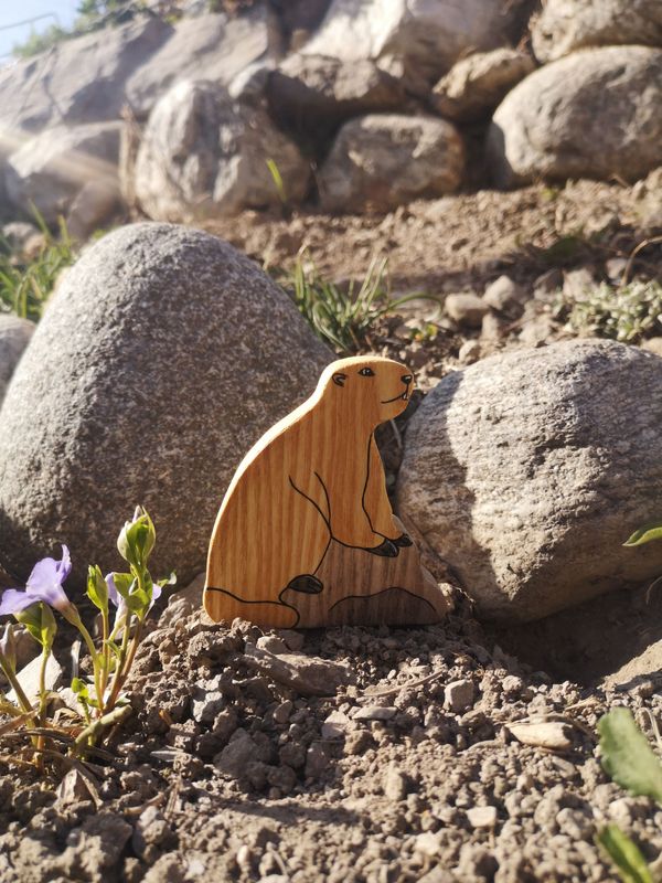 Marmotte rocher Marmotte rocher