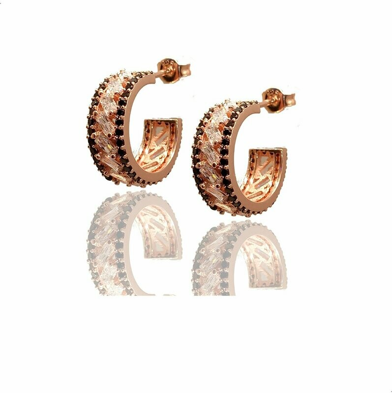 ARETES RTN0059