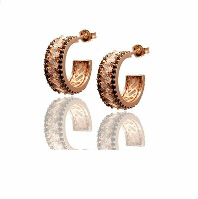 ARETES RTN0059