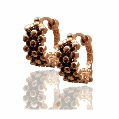ARETES RTN0060