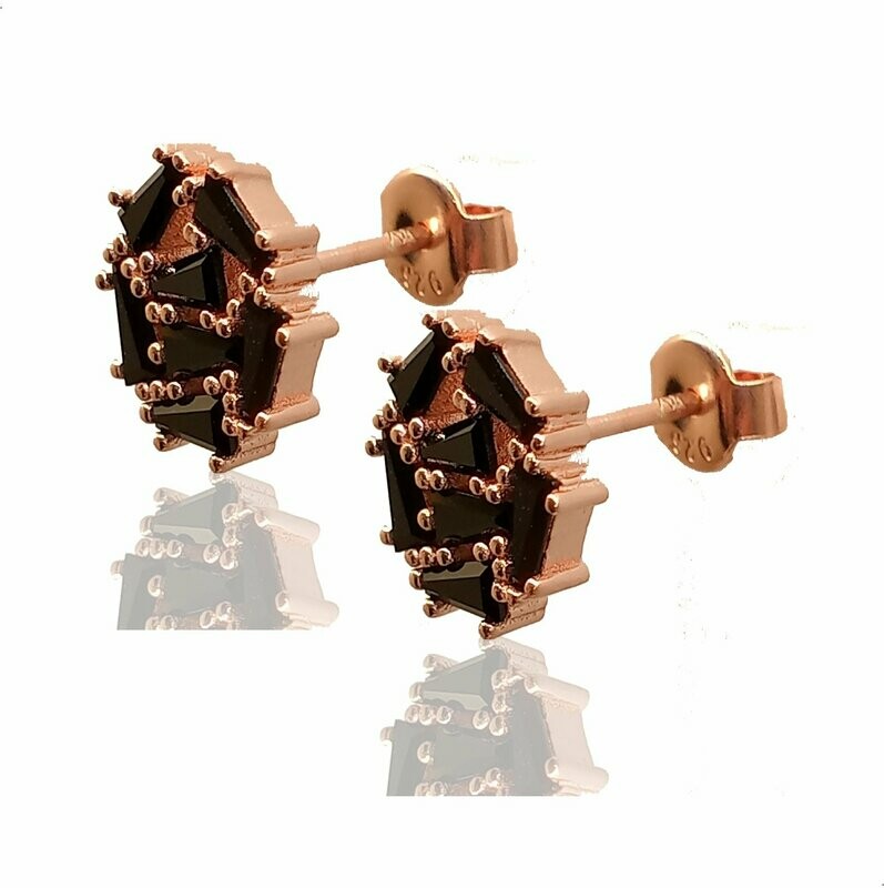 ARETES RTN0051