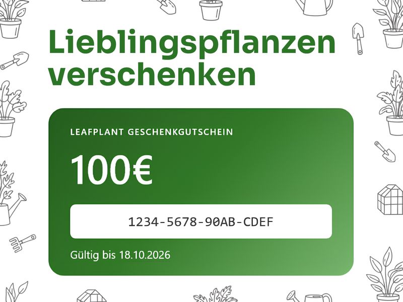 Geschenkkarte