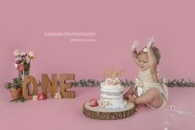 Milestone  session (3 months and up (1st Birthday) *does not include digitals or prints