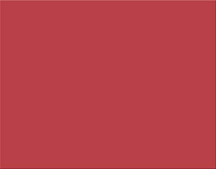 Poster Board/RED 25Pk (5475)