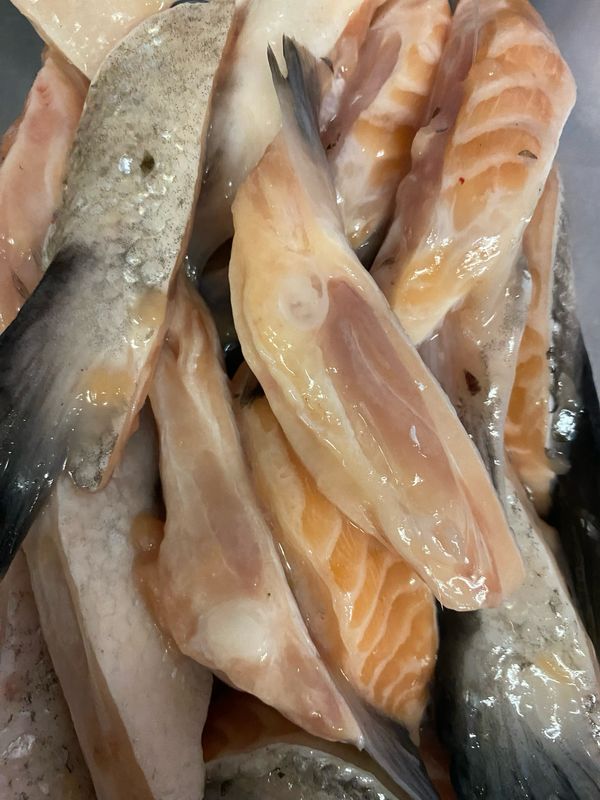 Salmon Fin Packs