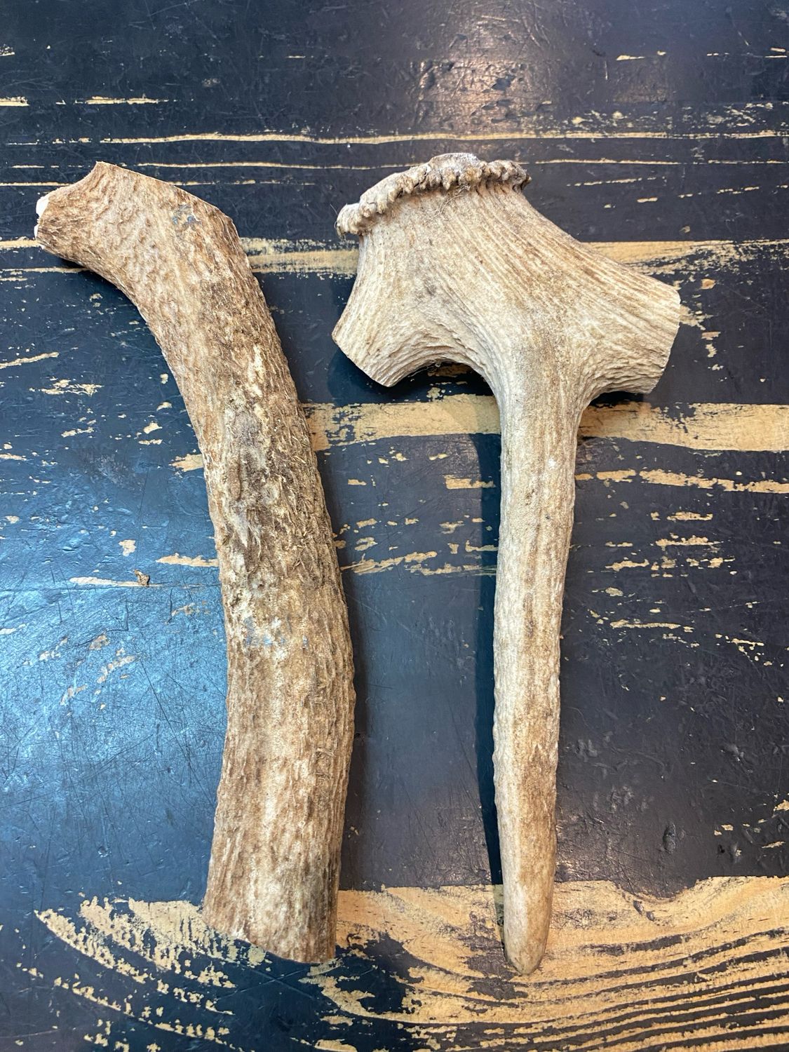 Deer Antler (Large)