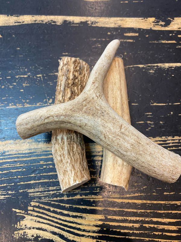 Deer Antler (Medium)