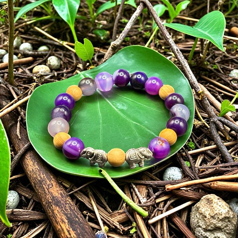 Elephant’s Dreamscape