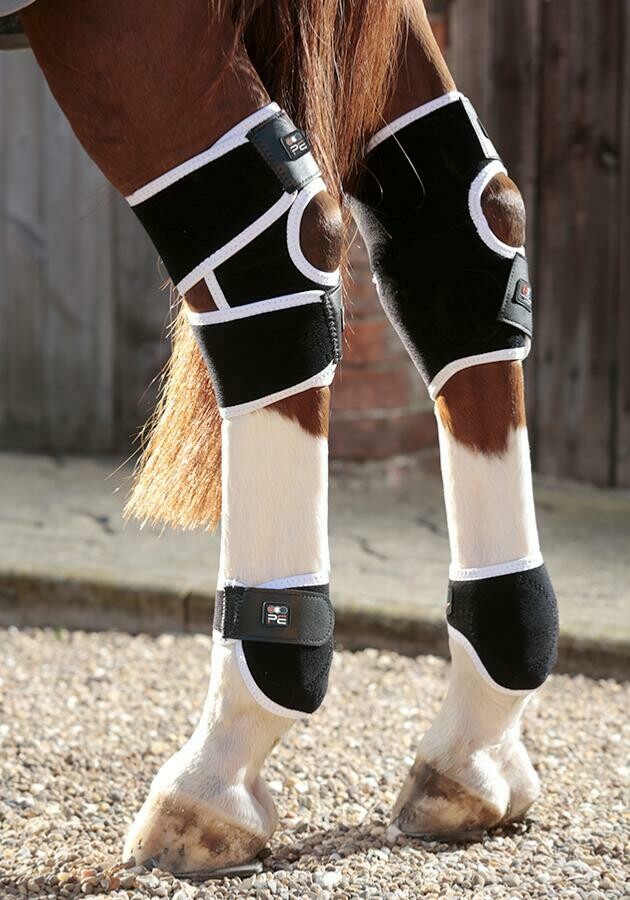 premier equine magnetic boots