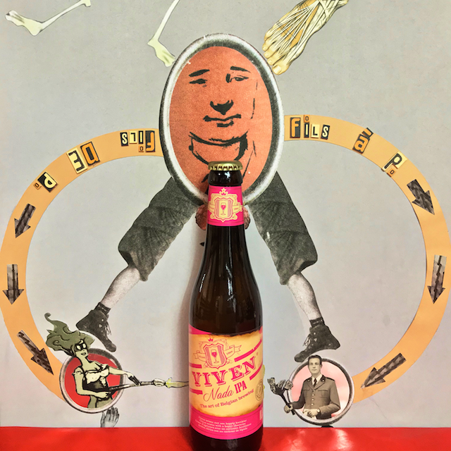 VIVEN - NADA IPA 33cl