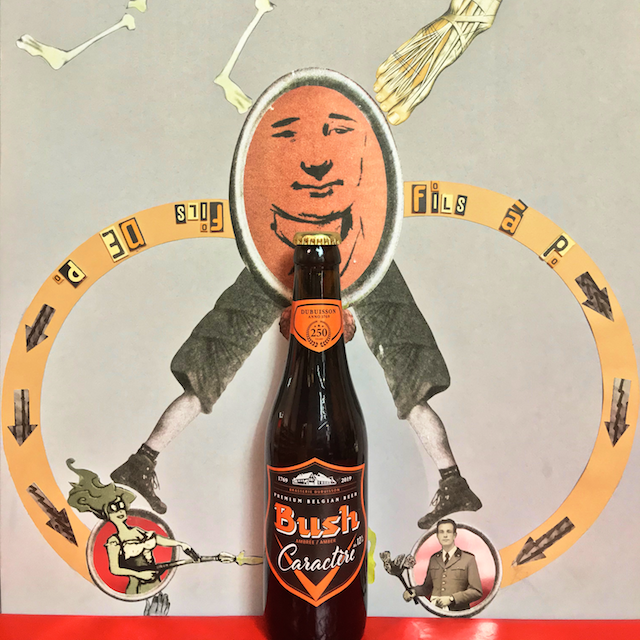 DUBUISSON - BUSH CARACTERE (AMBREE) 33cl