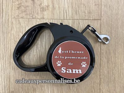 Laisse pour chien personnalisée extensible modèle pattes