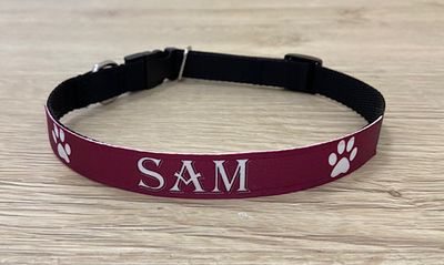 collier personnalisé pour chien avec le nom