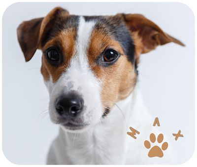 Tapis de souris chien et chat avec le nom Tapis de souris chien et chat avec le nom