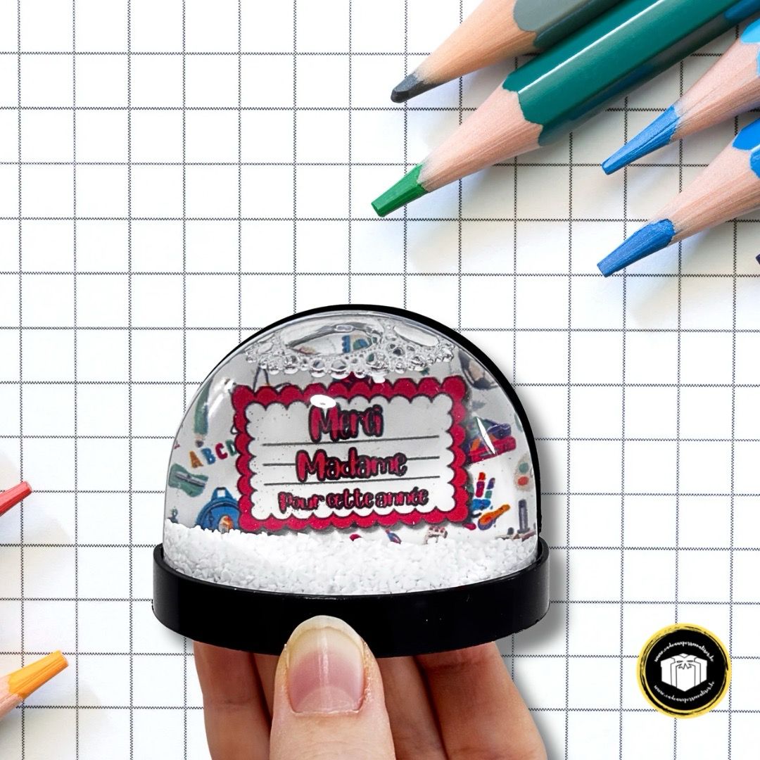 Boule à neige aimantée enseignant