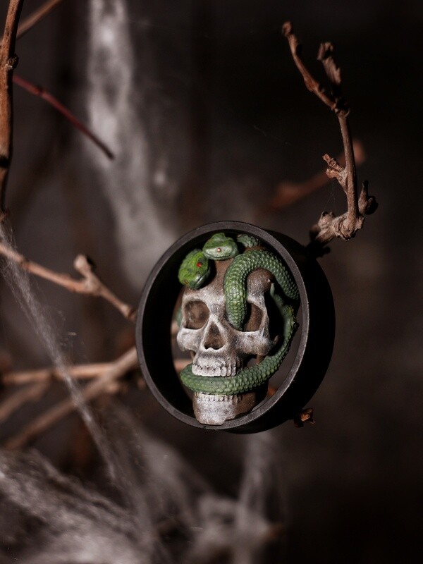 Skull and Snakes - Double Flared Ear Plugs