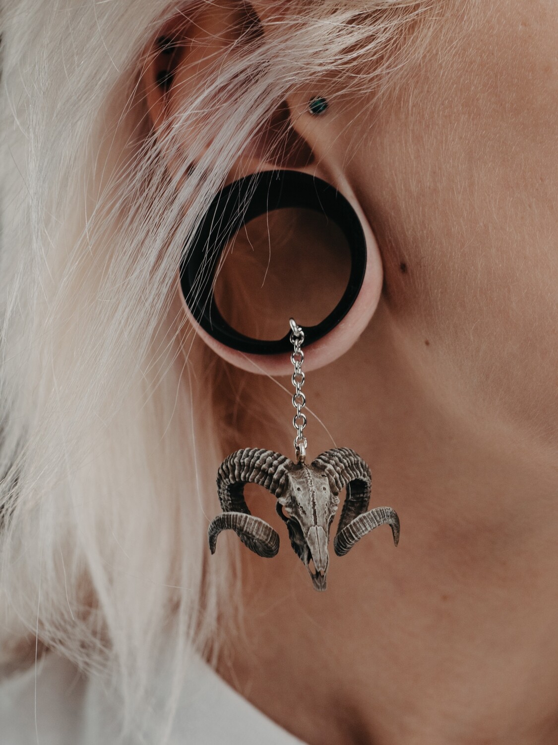 Tunnels with dangle Ram Skull - Double Flared Tunnels with dangle Ram Skull - Double Flared