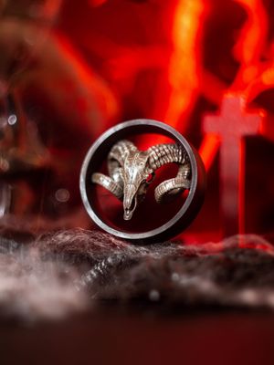 Ram Skull - Double Flared Ear Plugs