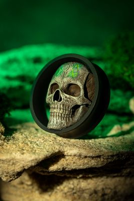 Skull with Runes - Double Flared Ear Plugs