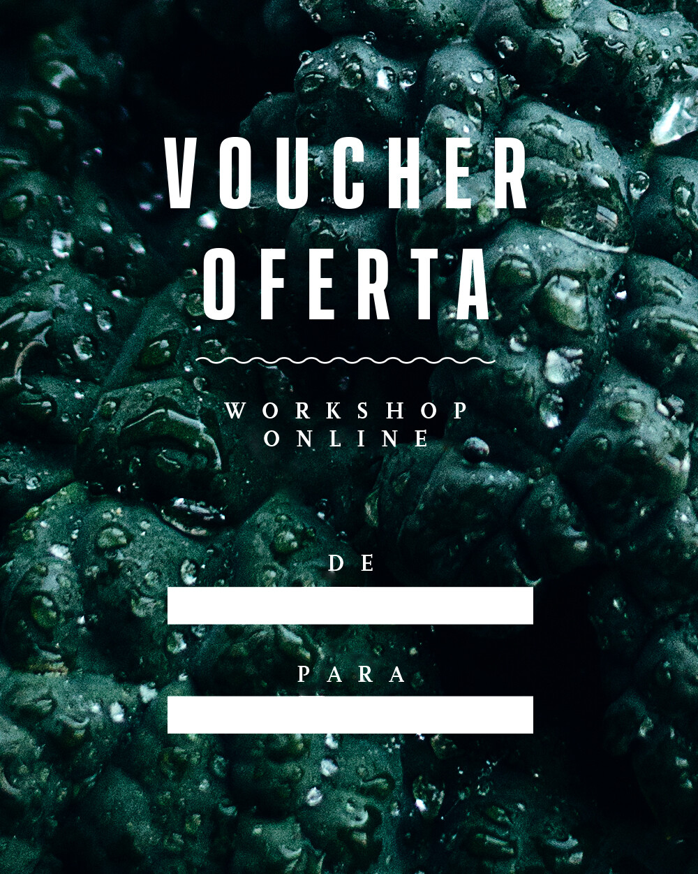 Voucher Oferta - Workshop Online