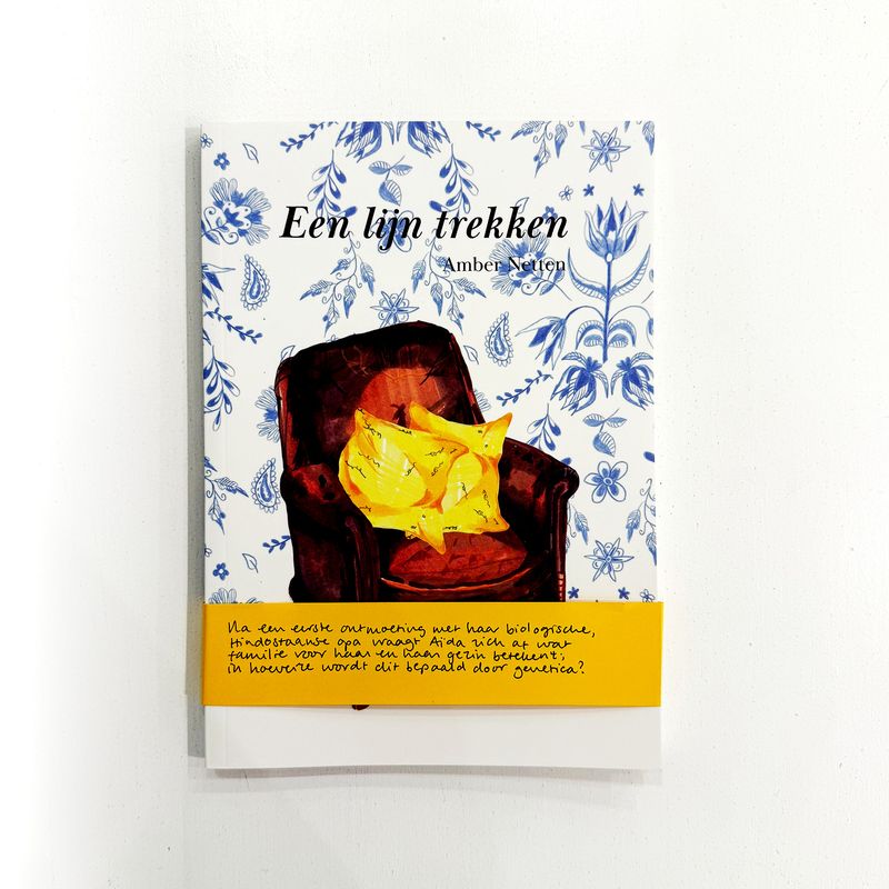 Een lijn trekken - Amber Netten
