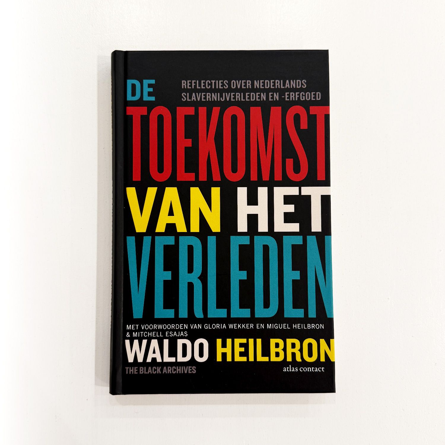 De Toekomst van het Verleden - Waldo Heilbron