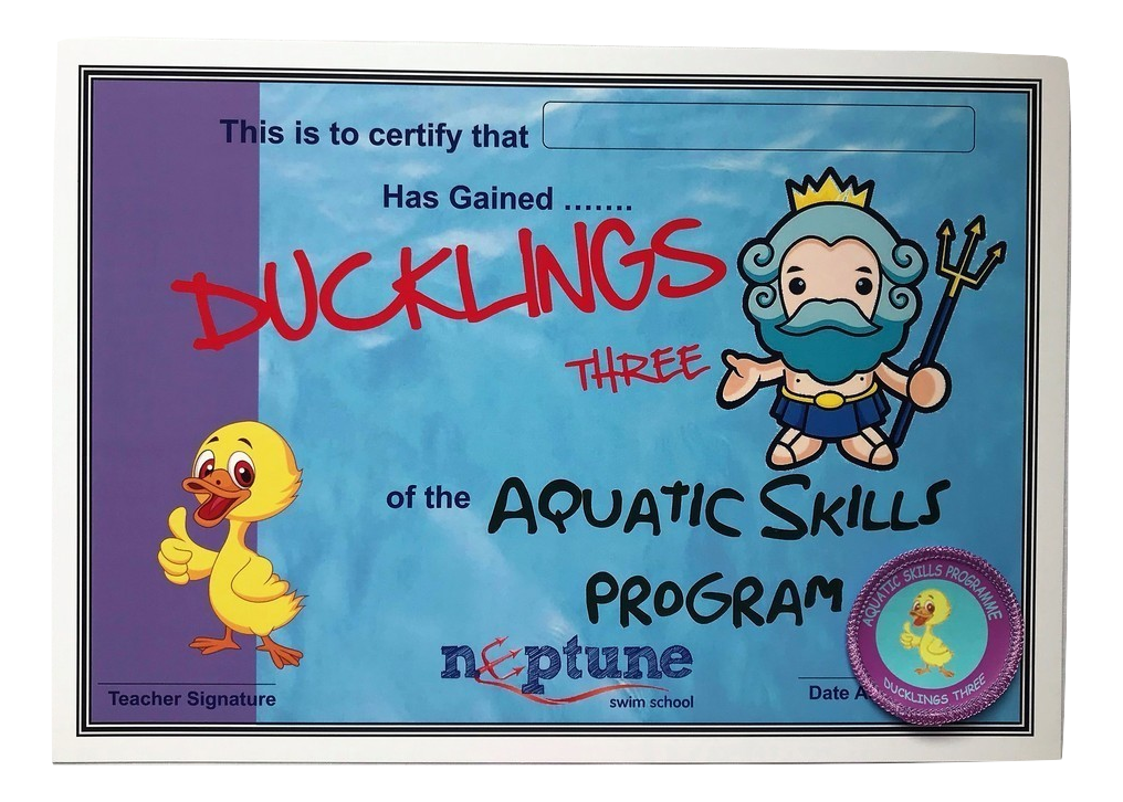 Ducklings three