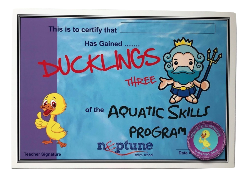 Ducklings three